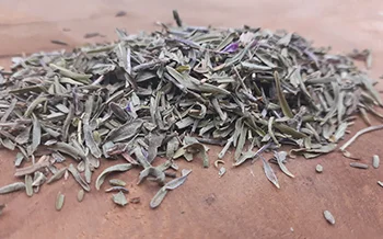 Thym de Turquie