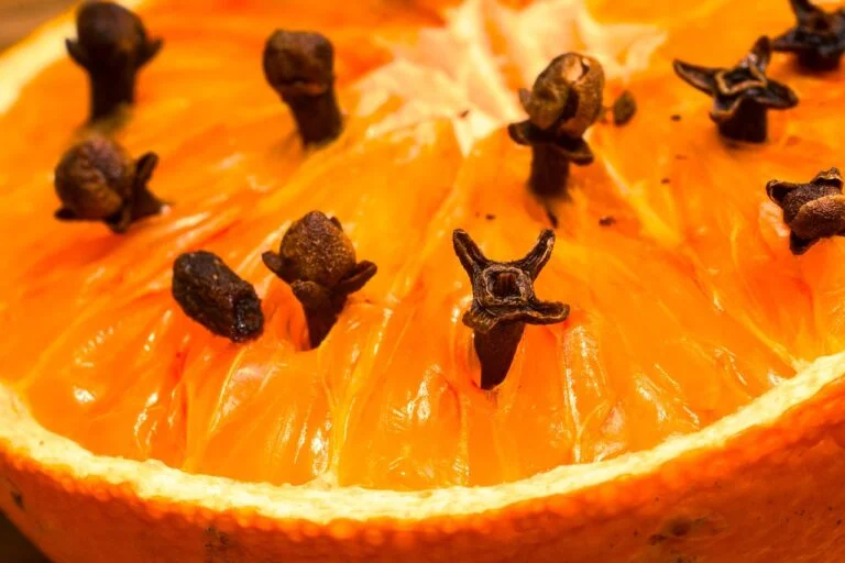 Recette avec du clou de girofle