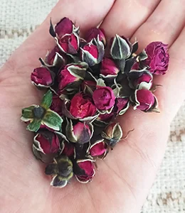 Bouton de rose sechee