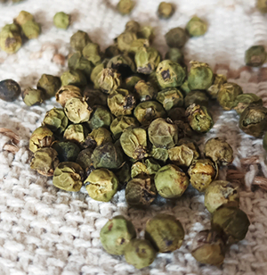 Poivre vert en grain